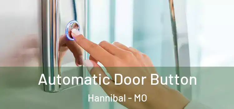 Automatic Door Button Hannibal - MO