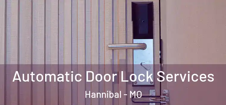 Automatic Door Lock Services Hannibal - MO
