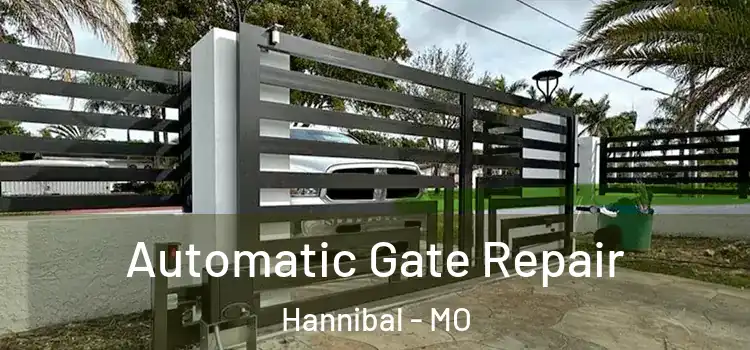 Automatic Gate Repair Hannibal - MO
