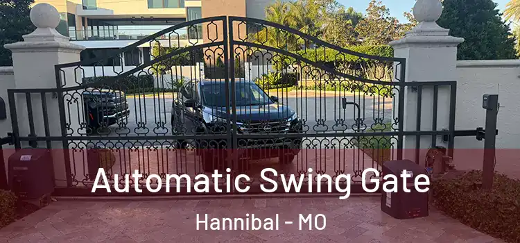 Automatic Swing Gate Hannibal - MO