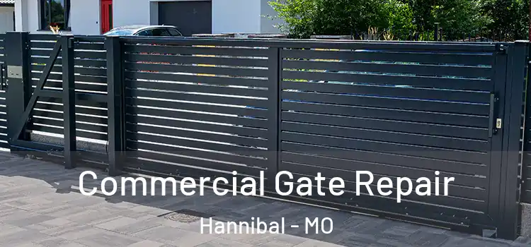 Commercial Gate Repair Hannibal - MO