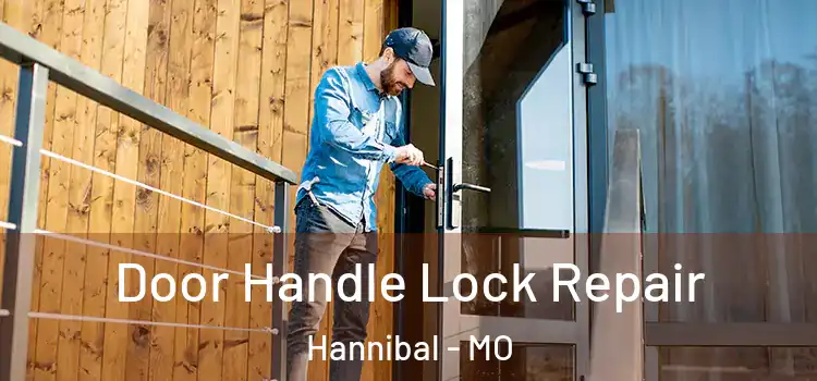 Door Handle Lock Repair Hannibal - MO