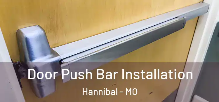 Door Push Bar Installation Hannibal - MO