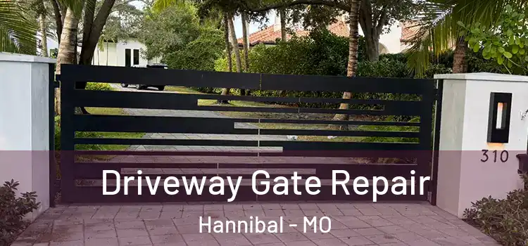 Driveway Gate Repair Hannibal - MO