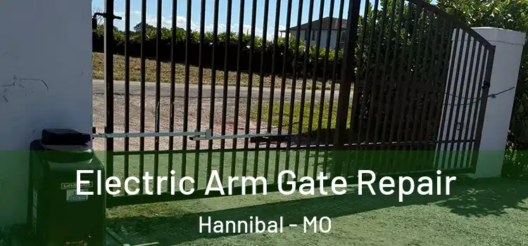 Electric Arm Gate Repair Hannibal - MO