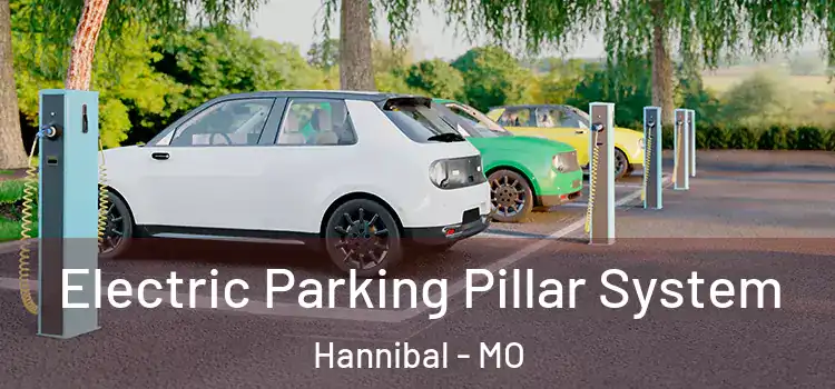 Electric Parking Pillar System Hannibal - MO