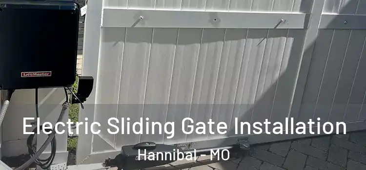 Electric Sliding Gate Installation Hannibal - MO