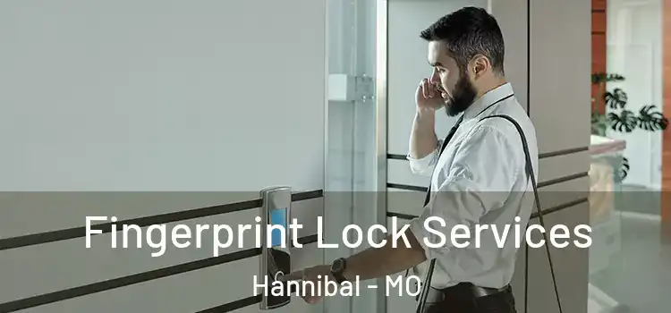 Fingerprint Lock Services Hannibal - MO