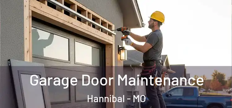 Garage Door Maintenance Hannibal - MO