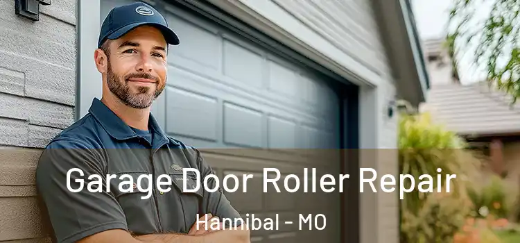  Garage Door Roller Repair Hannibal - MO