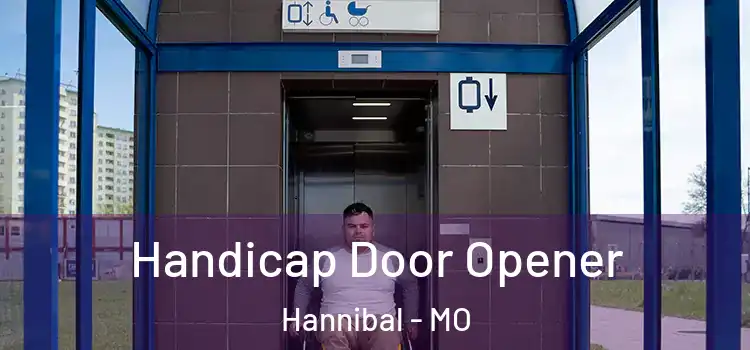 Handicap Door Opener Hannibal - MO