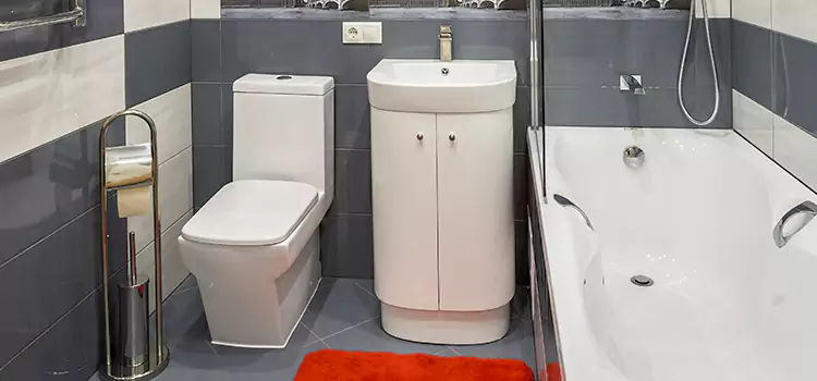 Hansgrohe Shaving Mirror Hannibal