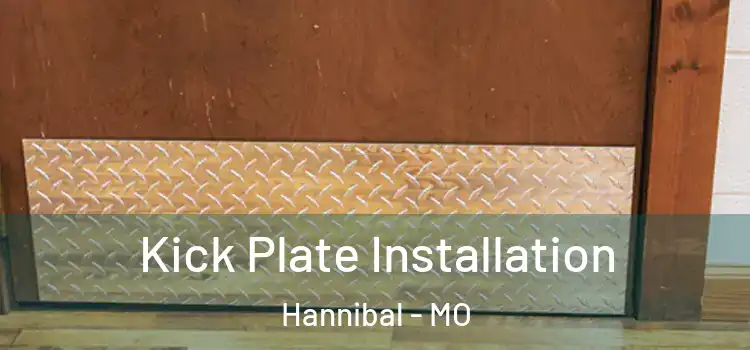 Kick Plate Installation Hannibal - MO