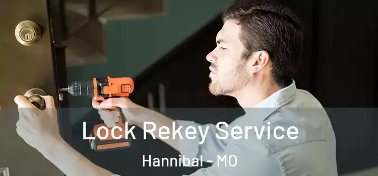 Lock Rekey Service Hannibal - MO
