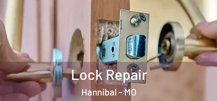 Lock Repair Hannibal - MO