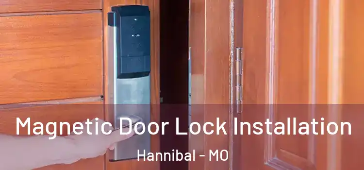  Magnetic Door Lock Installation Hannibal - MO