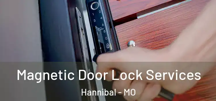 Magnetic Door Lock Services Hannibal - MO