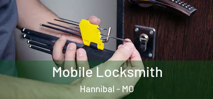  Mobile Locksmith Hannibal - MO