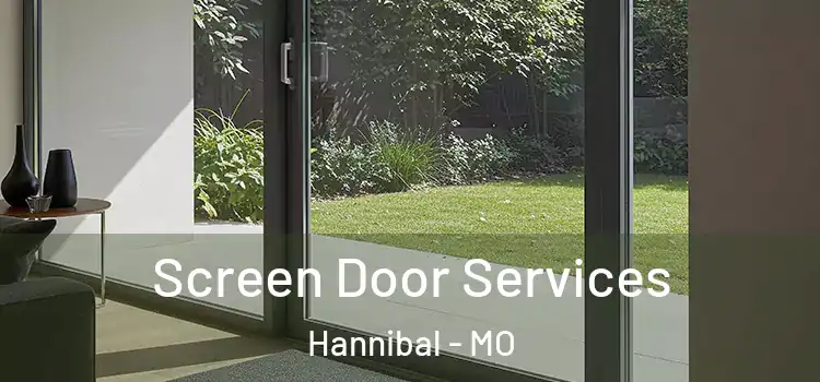 Screen Door Services Hannibal - MO