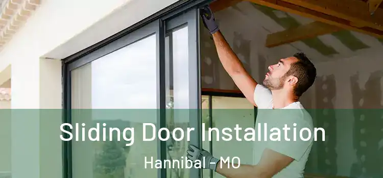 Sliding Door Installation Hannibal - MO