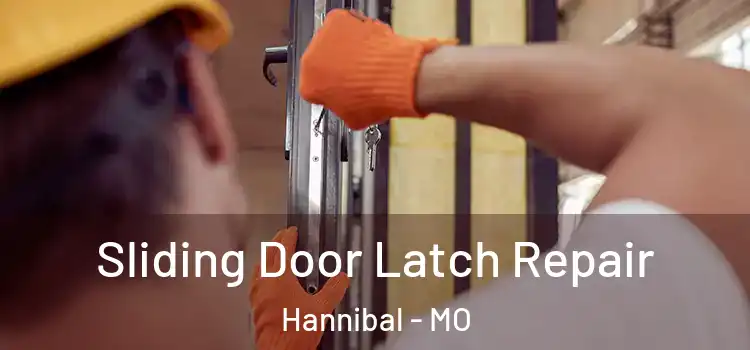 Sliding Door Latch Repair Hannibal - MO
