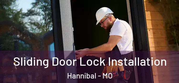 Sliding Door Lock Installation Hannibal - MO