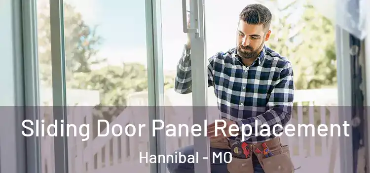  Sliding Door Panel Replacement Hannibal - MO