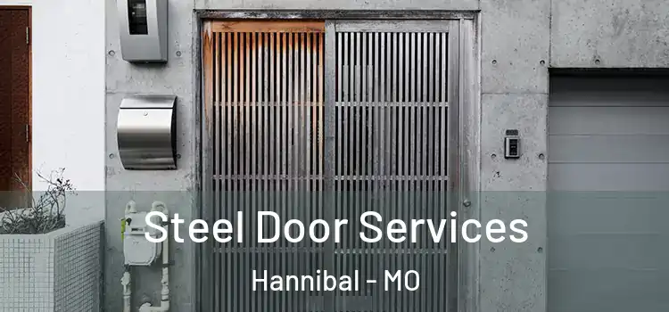 Steel Door Services Hannibal - MO