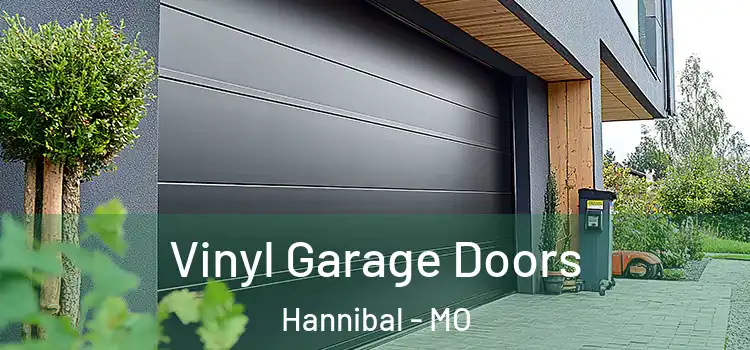  Vinyl Garage Doors Hannibal - MO