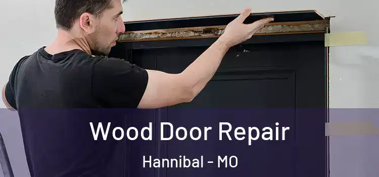 Wood Door Repair Hannibal - MO
