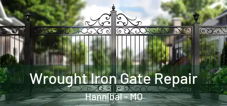 Wrought Iron Gate Repair Hannibal - MO